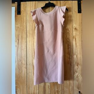 Ann Taylor Blush Pink Mini Dress with Ruffle Sleeves